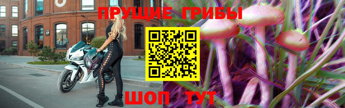 Псилоцибиновые грибы GOLDEN TEACHER  Вход с VPN  Псилоцибиновые грибы ЛСД  Кемерово 